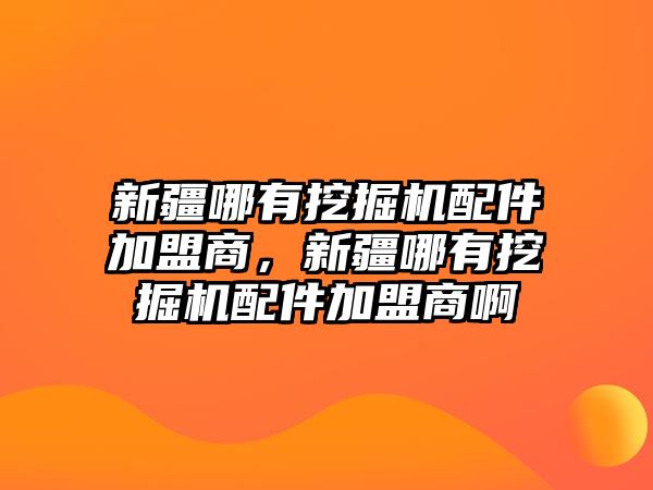 新疆哪有挖掘機(jī)配件加盟商，新疆哪有挖掘機(jī)配件加盟商啊