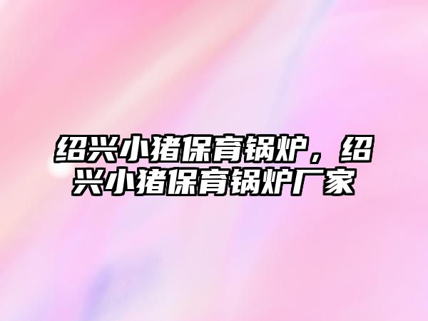 紹興小豬保育鍋爐，紹興小豬保育鍋爐廠家