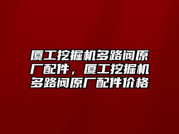 廈工挖掘機(jī)多路閥原廠配件，廈工挖掘機(jī)多路閥原廠配件價(jià)格