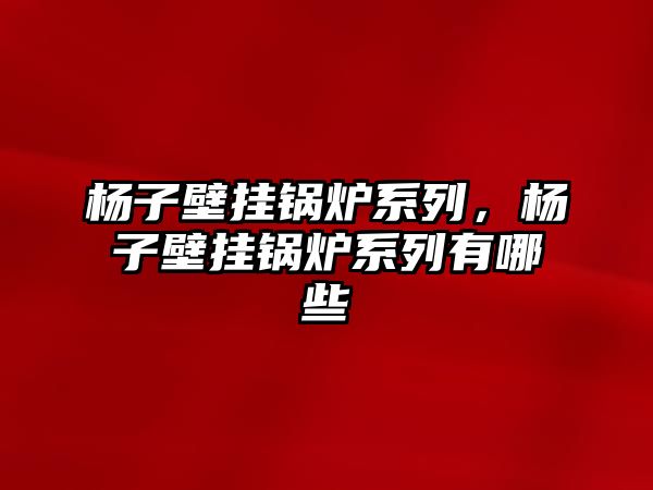 楊子壁掛鍋爐系列，楊子壁掛鍋爐系列有哪些