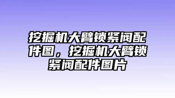 挖掘機(jī)大臂鎖緊閥配件圖，挖掘機(jī)大臂鎖緊閥配件圖片