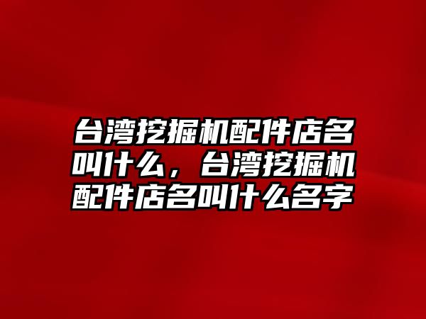 臺灣挖掘機(jī)配件店名叫什么，臺灣挖掘機(jī)配件店名叫什么名字