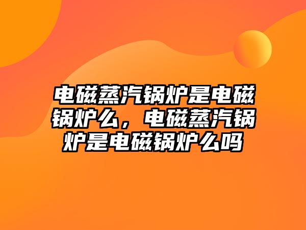 電磁蒸汽鍋爐是電磁鍋爐么，電磁蒸汽鍋爐是電磁鍋爐么嗎