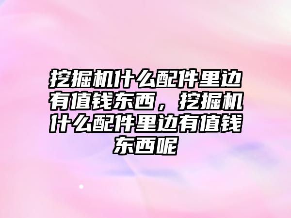 挖掘機什么配件里邊有值錢東西，挖掘機什么配件里邊有值錢東西呢