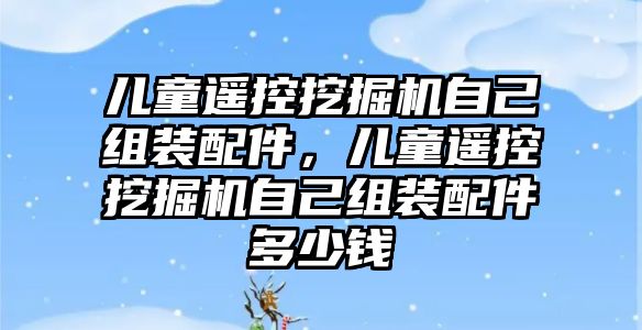 兒童遙控挖掘機自己組裝配件，兒童遙控挖掘機自己組裝配件多少錢