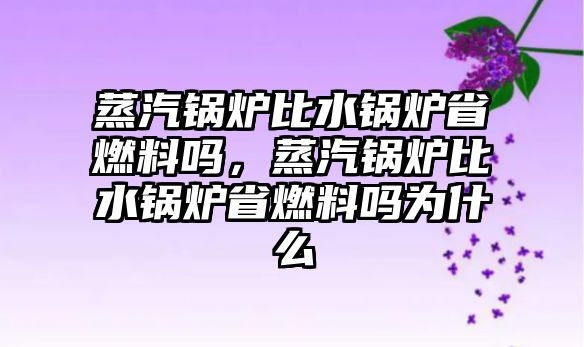 蒸汽鍋爐比水鍋爐省燃料嗎，蒸汽鍋爐比水鍋爐省燃料嗎為什么