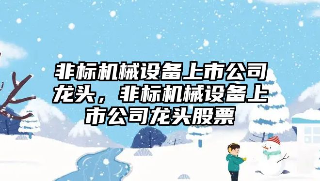 非標(biāo)機械設(shè)備上市公司龍頭，非標(biāo)機械設(shè)備上市公司龍頭股票