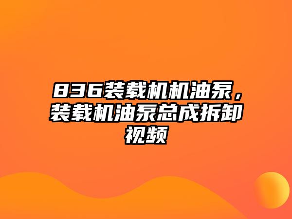 836裝載機(jī)機(jī)油泵，裝載機(jī)油泵總成拆卸視頻