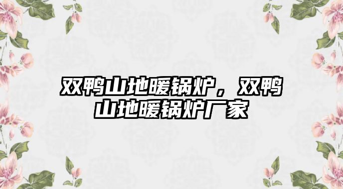 雙鴨山地暖鍋爐，雙鴨山地暖鍋爐廠家