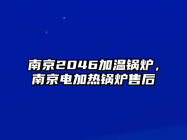 南京2046加溫鍋爐，南京電加熱鍋爐售后