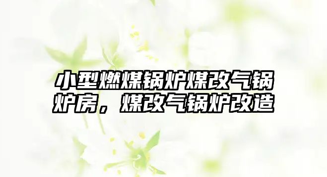 小型燃煤鍋爐煤改氣鍋爐房，煤改氣鍋爐改造