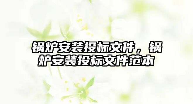 鍋爐安裝投標(biāo)文件，鍋爐安裝投標(biāo)文件范本