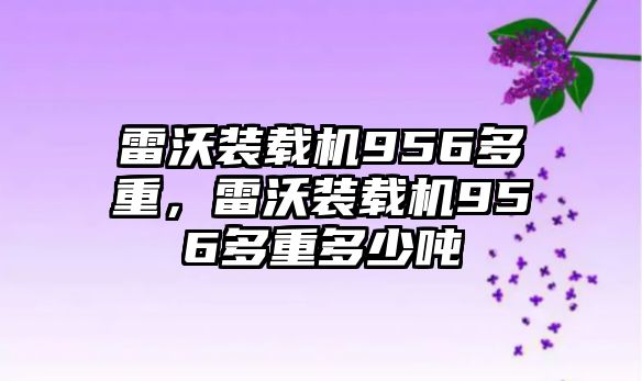 雷沃裝載機956多重，雷沃裝載機956多重多少噸