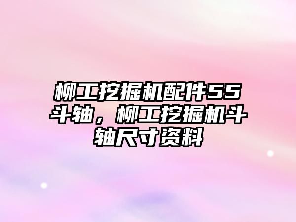 柳工挖掘機配件55斗軸，柳工挖掘機斗軸尺寸資料