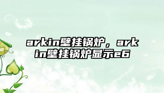 arkin壁掛鍋爐，arkin壁掛鍋爐顯示e6