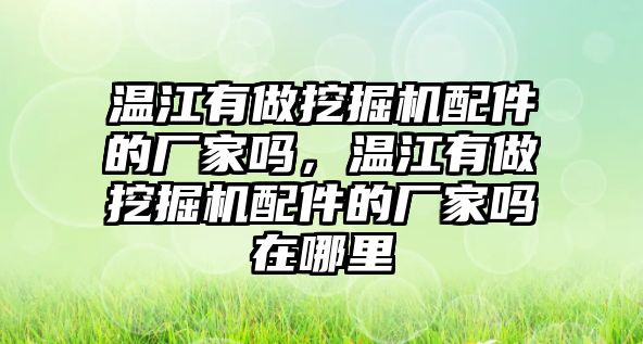 溫江有做挖掘機(jī)配件的廠家嗎，溫江有做挖掘機(jī)配件的廠家嗎在哪里