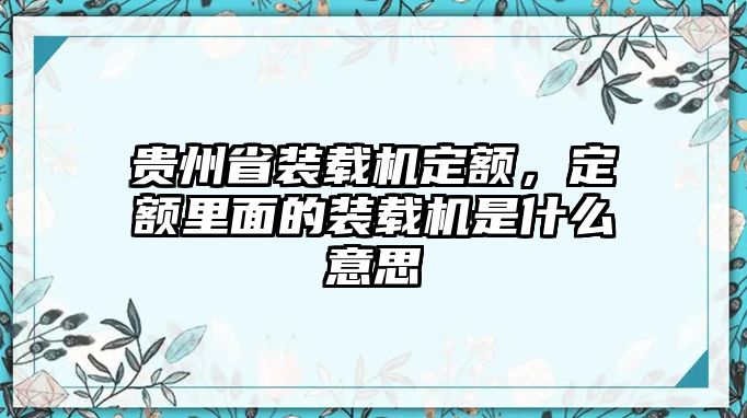 貴州省裝載機定額，定額里面的裝載機是什么意思