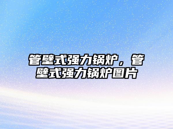 管壁式強(qiáng)力鍋爐，管壁式強(qiáng)力鍋爐圖片