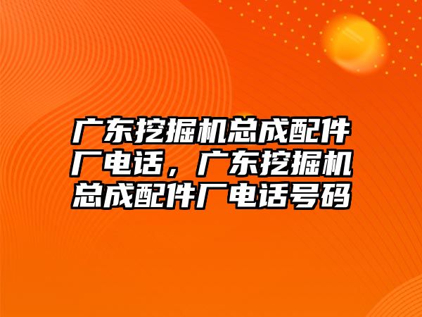 廣東挖掘機總成配件廠電話，廣東挖掘機總成配件廠電話號碼