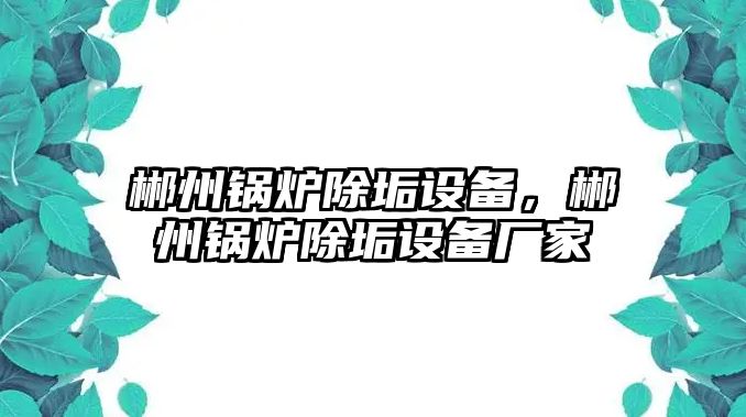 郴州鍋爐除垢設(shè)備，郴州鍋爐除垢設(shè)備廠家