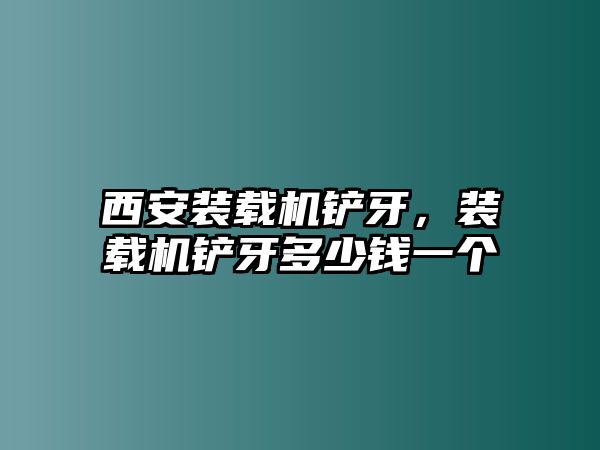 西安裝載機鏟牙，裝載機鏟牙多少錢一個