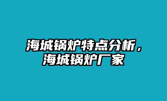 海城鍋爐特點分析，海城鍋爐廠家