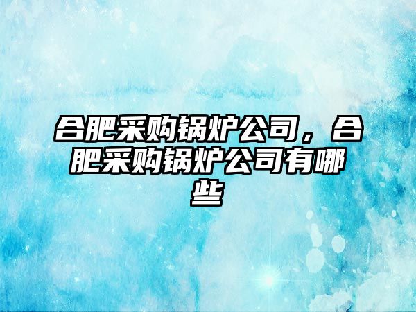 合肥采購(gòu)鍋爐公司，合肥采購(gòu)鍋爐公司有哪些