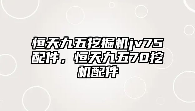 恒天九五挖掘機(jī)jv75配件，恒天九五70挖機(jī)配件