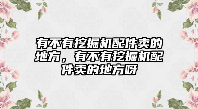 有不有挖掘機(jī)配件賣的地方，有不有挖掘機(jī)配件賣的地方呀