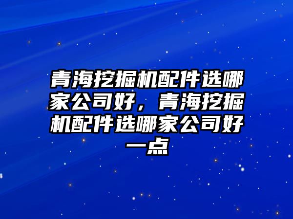 青海挖掘機配件選哪家公司好，青海挖掘機配件選哪家公司好一點