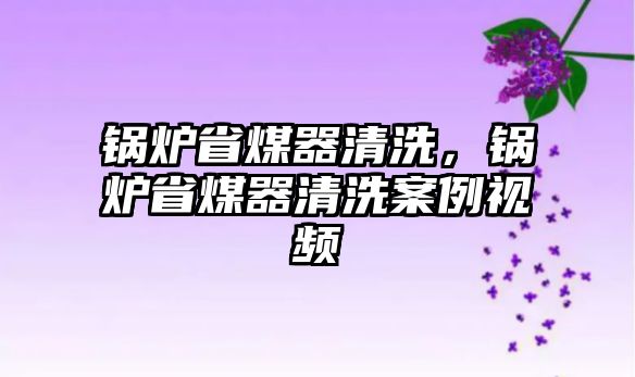 鍋爐省煤器清洗，鍋爐省煤器清洗案例視頻