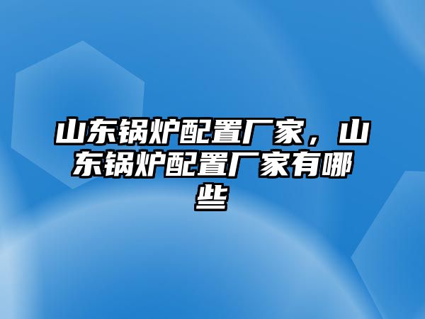 山東鍋爐配置廠家，山東鍋爐配置廠家有哪些