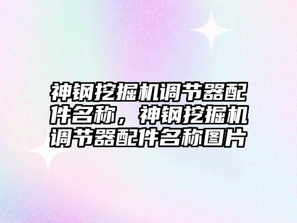 神鋼挖掘機調節(jié)器配件名稱，神鋼挖掘機調節(jié)器配件名稱圖片