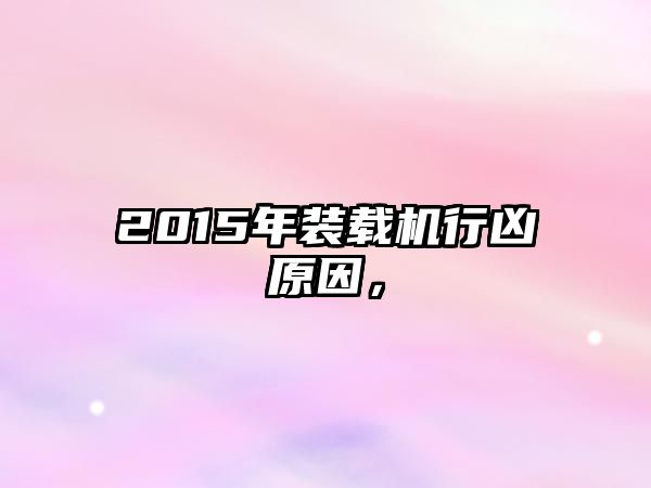 2015年裝載機行兇原因，