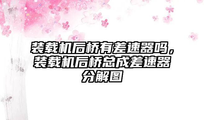 裝載機(jī)后橋有差速器嗎，裝載機(jī)后橋總成差速器分解圖