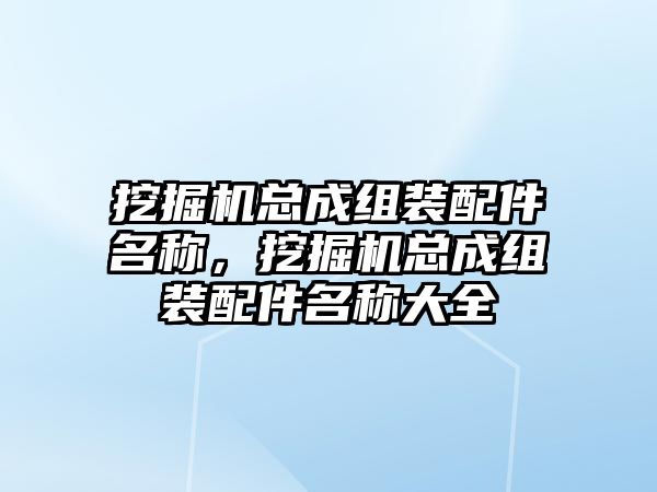 挖掘機總成組裝配件名稱，挖掘機總成組裝配件名稱大全