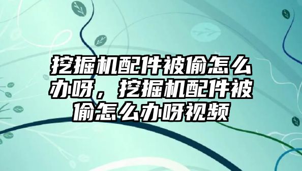 挖掘機(jī)配件被偷怎么辦呀，挖掘機(jī)配件被偷怎么辦呀視頻