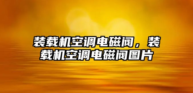 裝載機(jī)空調(diào)電磁閥，裝載機(jī)空調(diào)電磁閥圖片