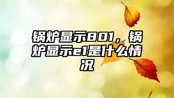 鍋爐顯示801，鍋爐顯示e1是什么情況