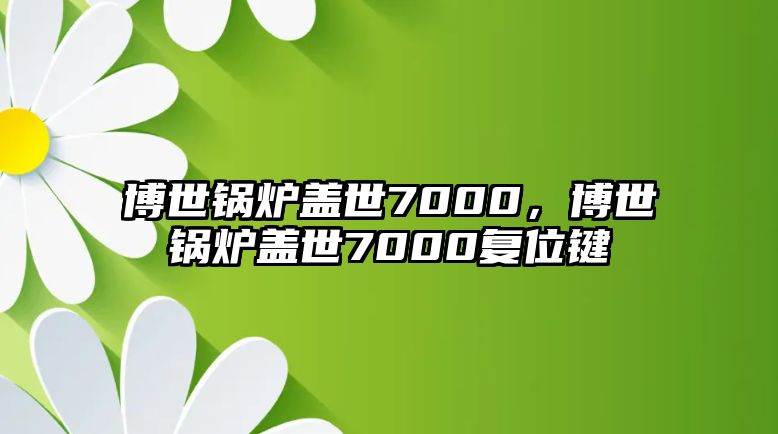 博世鍋爐蓋世7000，博世鍋爐蓋世7000復(fù)位鍵