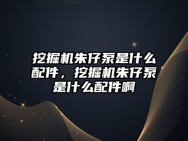 挖掘機朱仔泵是什么配件，挖掘機朱仔泵是什么配件啊