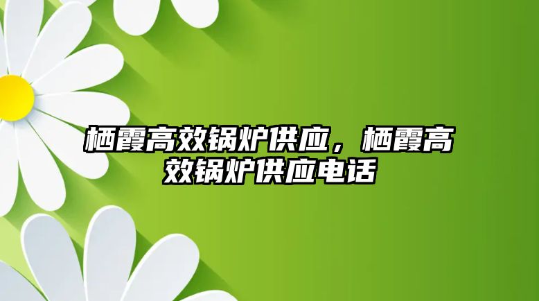 棲霞高效鍋爐供應(yīng)，棲霞高效鍋爐供應(yīng)電話