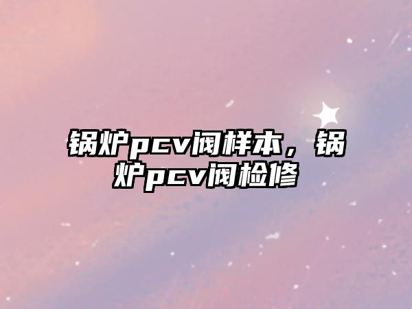 鍋爐pcv閥樣本，鍋爐pcv閥檢修