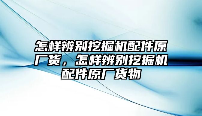 怎樣辨別挖掘機(jī)配件原廠貨，怎樣辨別挖掘機(jī)配件原廠貨物