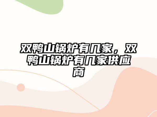 雙鴨山鍋爐有幾家，雙鴨山鍋爐有幾家供應(yīng)商