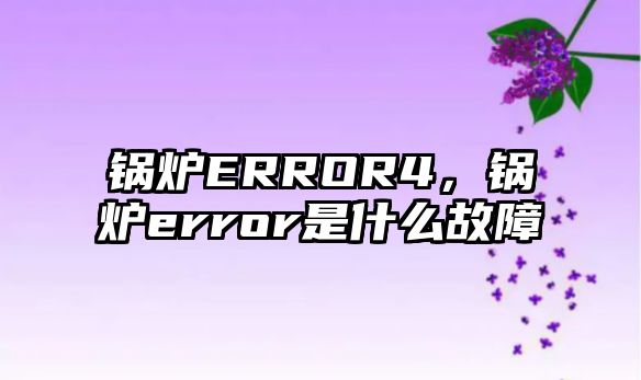 鍋爐ERROR4，鍋爐error是什么故障