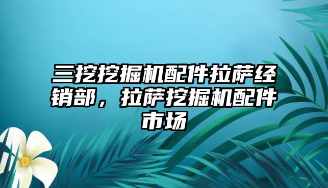 三挖挖掘機配件拉薩經(jīng)銷部，拉薩挖掘機配件市場