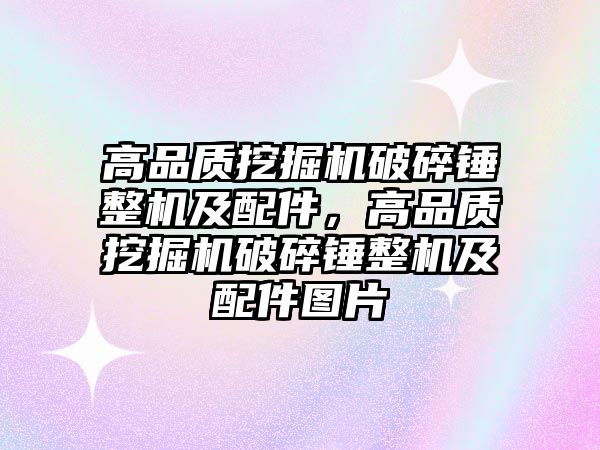 高品質(zhì)挖掘機破碎錘整機及配件，高品質(zhì)挖掘機破碎錘整機及配件圖片