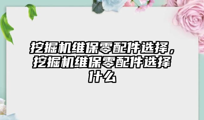 挖掘機(jī)維保零配件選擇，挖掘機(jī)維保零配件選擇什么