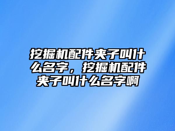 挖掘機配件夾子叫什么名字，挖掘機配件夾子叫什么名字啊